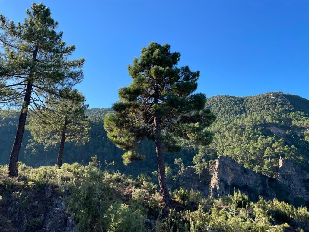 El Quejigo Villa Molinicos Buitenkant foto